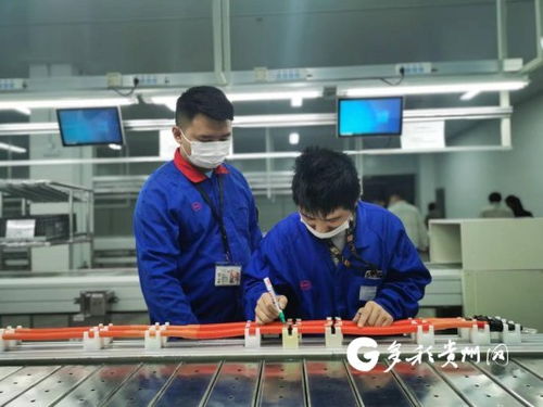 比亚迪贵阳弗迪动力高压电气工厂首批线束产品成功下线，加速高低压电气产业布局